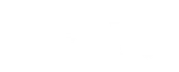 Mobile Biometrics